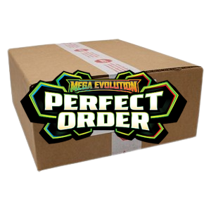 Perfect Order 10 Elite Trainer Box Case